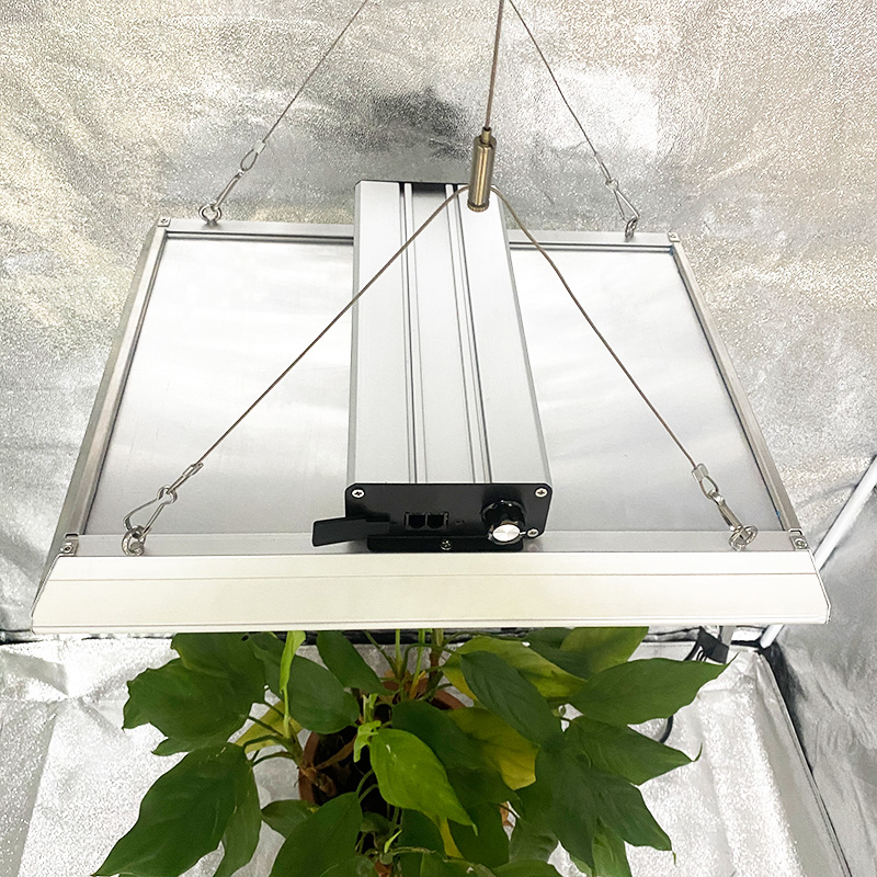 Hydroponic 100w Led Grow Light for Pot Plants