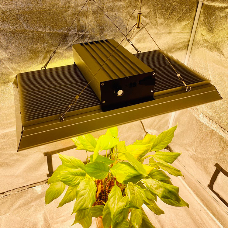 Low Energy Professional Led Grow Light for Tomatoes