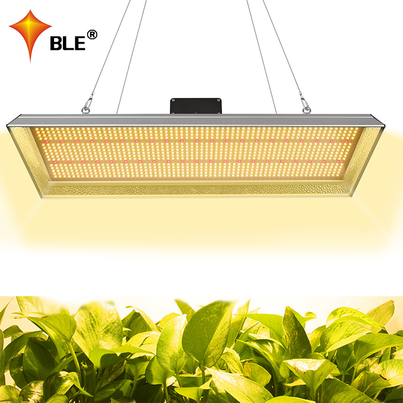 Plant 300w Led Grow Light for Succulents