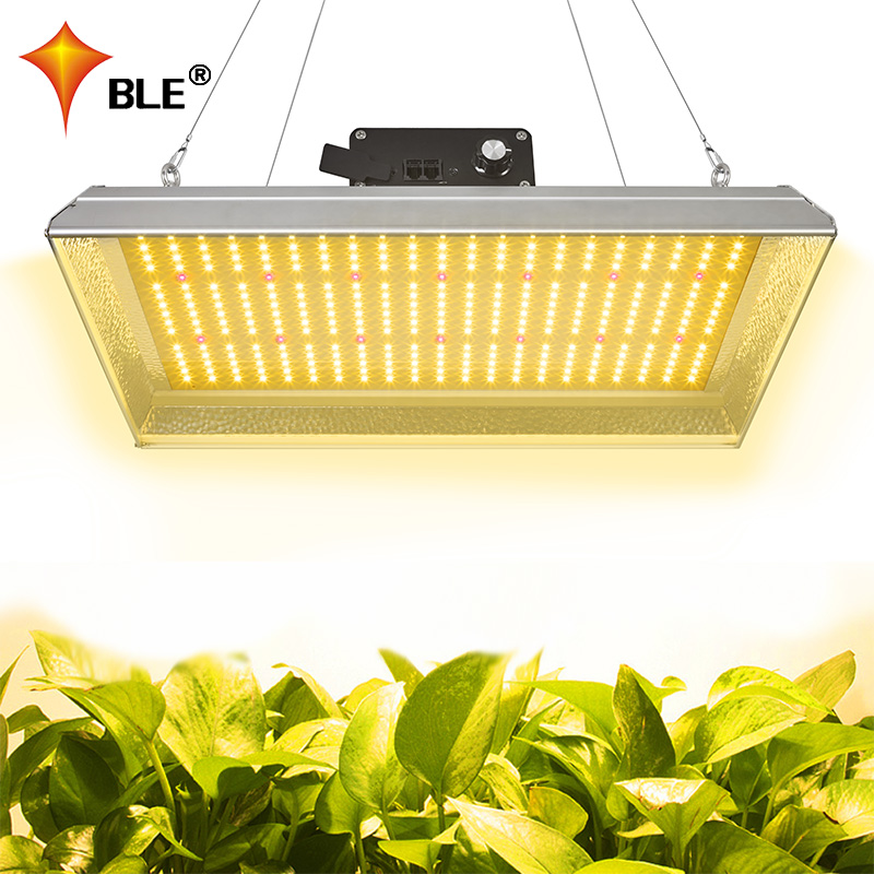 Horticultural 100w Led Grow Light for Chillies