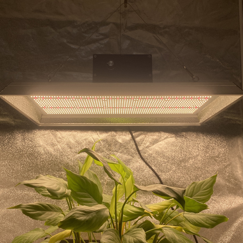 Smart Professional Led Grow Light for Tomatoes