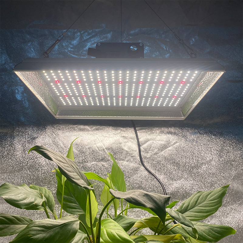 Quantum Indoor Led Grow Light for Tomatoes