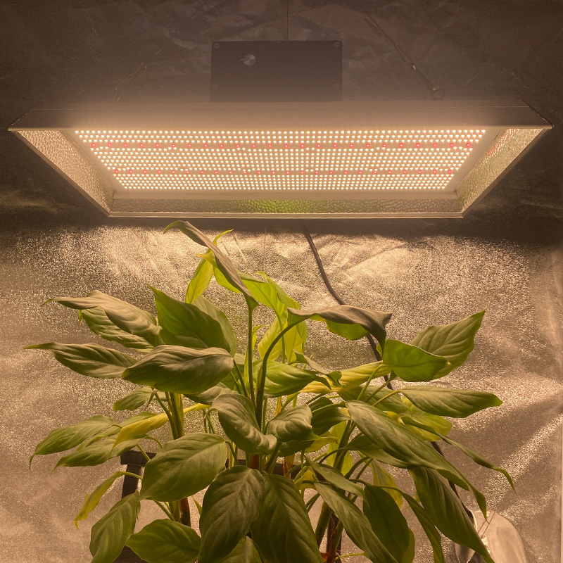 Low Energy Garden Led Grow Light for Tropical Plants