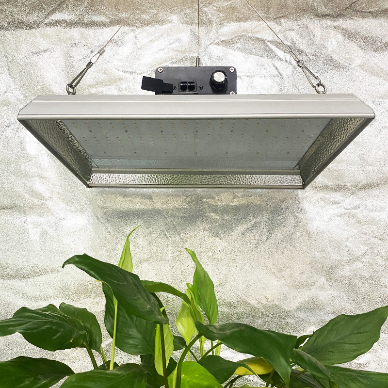 Quantum Indoor Led Grow Light for Tomatoes