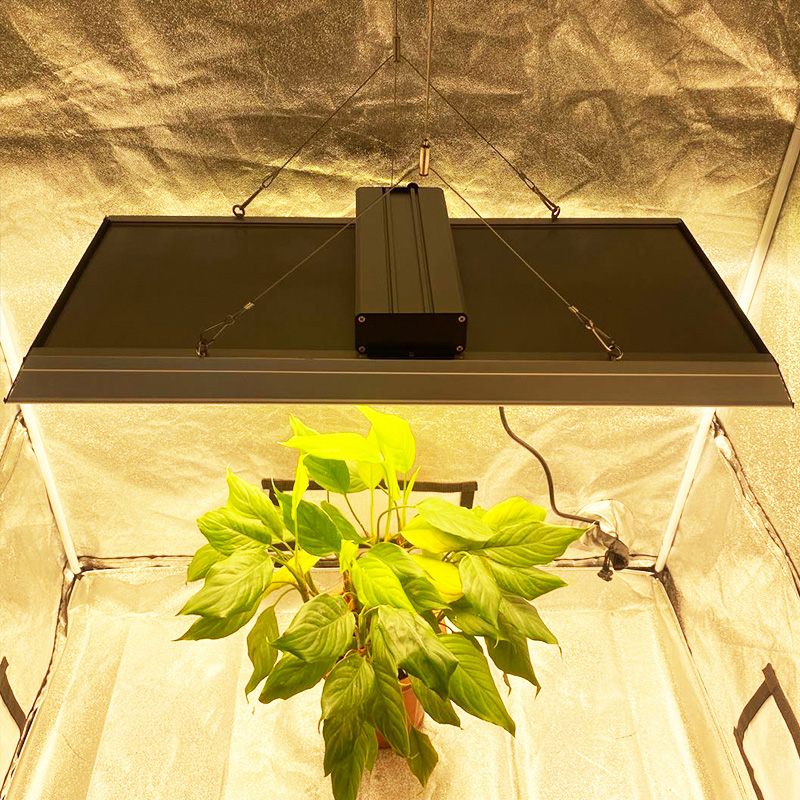Indoor 300w Led Grow Light for Vegetables