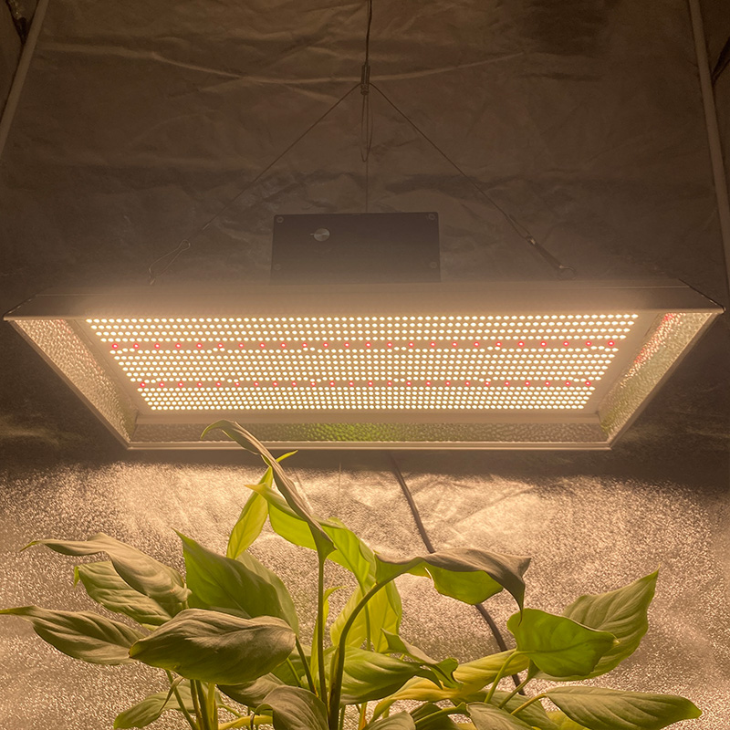 Garden 400 Watt Led Grow Light for Chillies