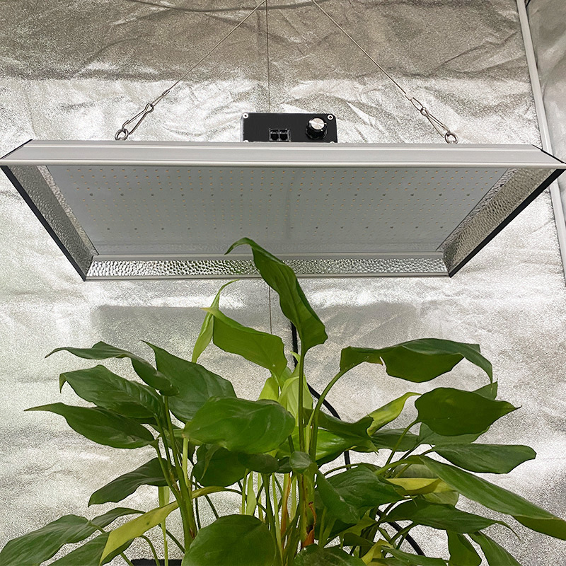 Full Spectrum 200w Led Grow Light for Pot Plants