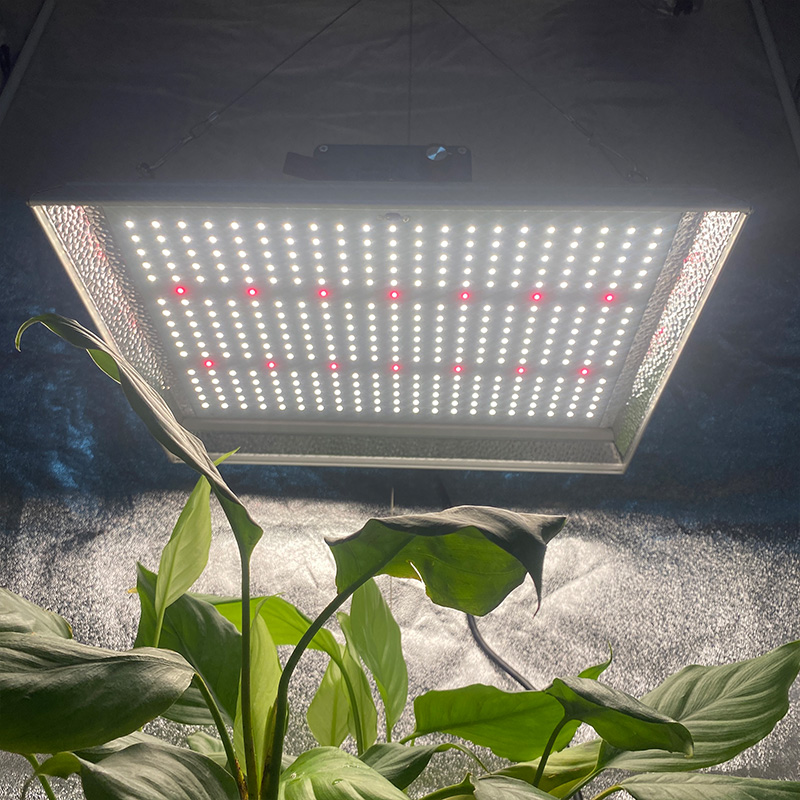 Garden 100w Led Grow Light for Tropical Plants