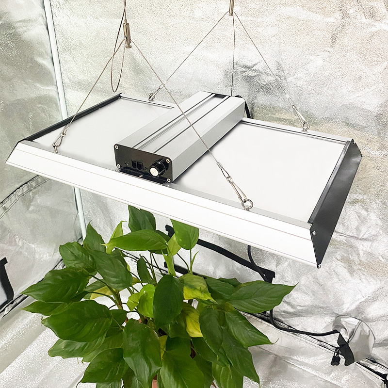Hydroponic 200w Led Grow Light for Chillies